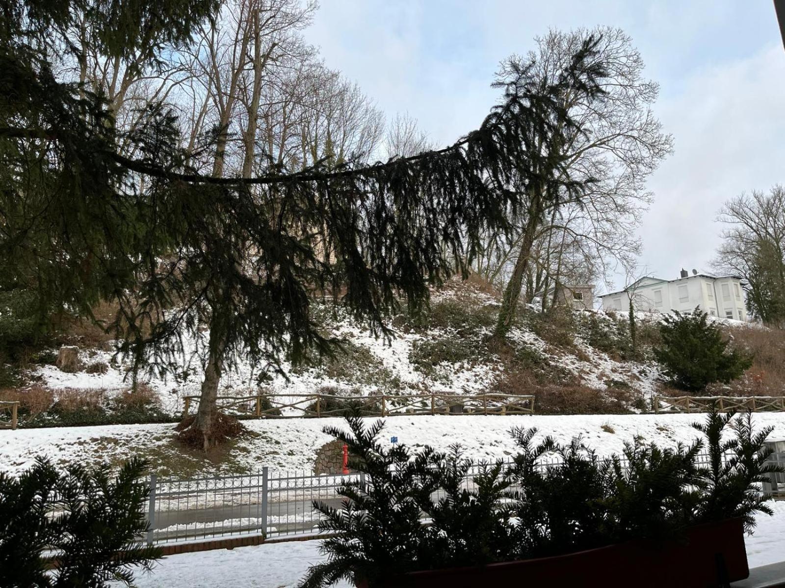 Villa Regina Bad Freienwalde Zimmer foto